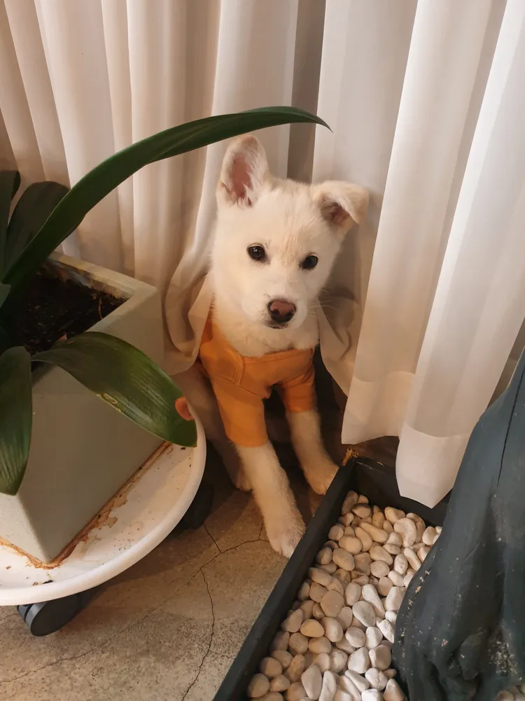 커피89도씨 대표 이미지