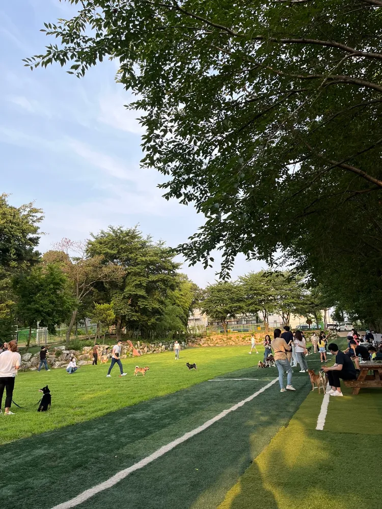 드린겐애견테마파크 대표 이미지