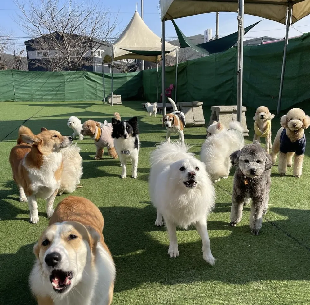 젤리네하우스 대표 이미지