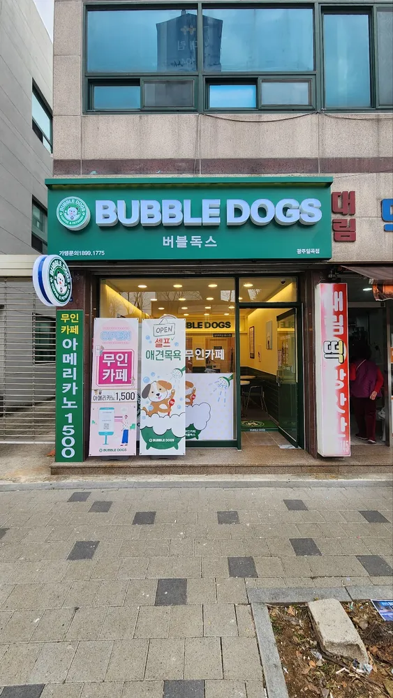 버블독스 광주일곡점 대표 이미지