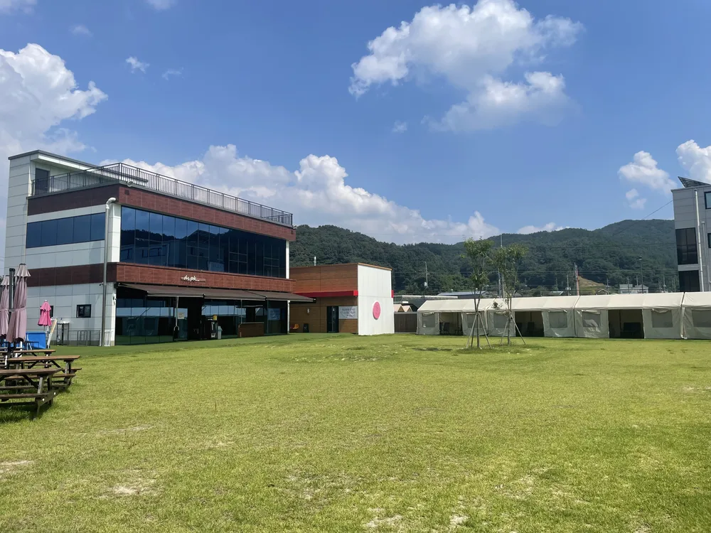 댕스파크 [ 애견카페 & 애견운동장 ] 대표 이미지