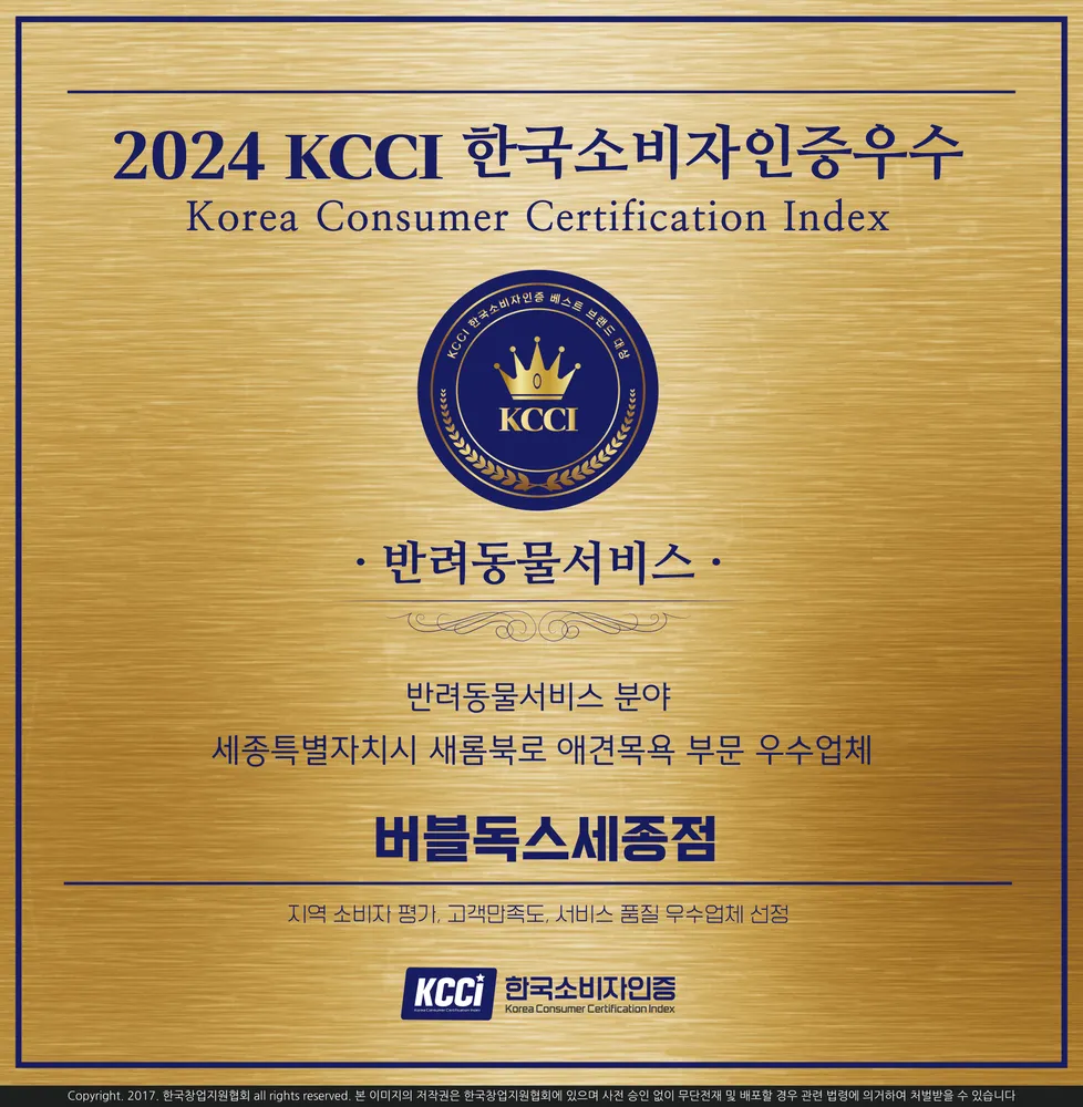 버블독스 세종점 대표 이미지