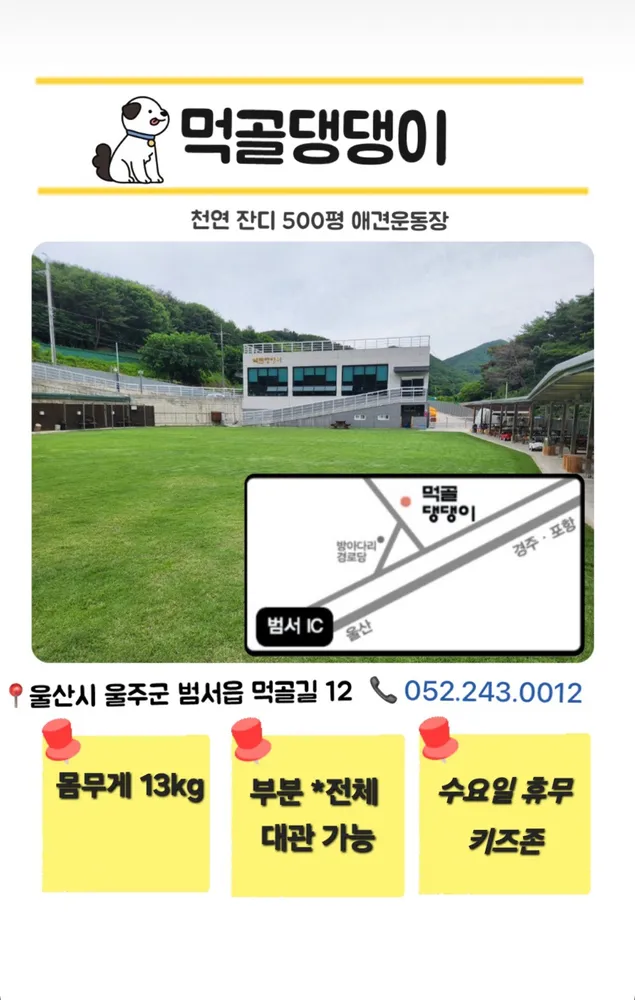 먹골댕댕이 대표 이미지