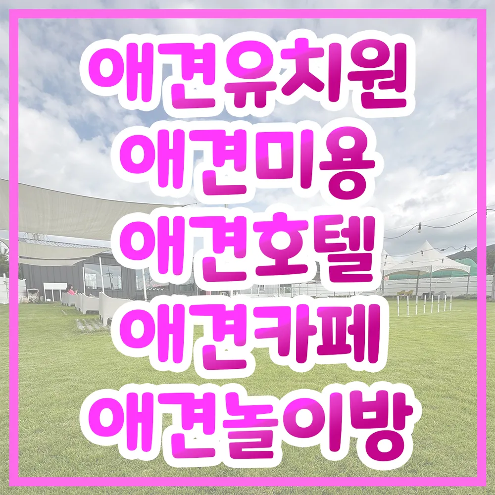 핑크그라운드 대표 이미지