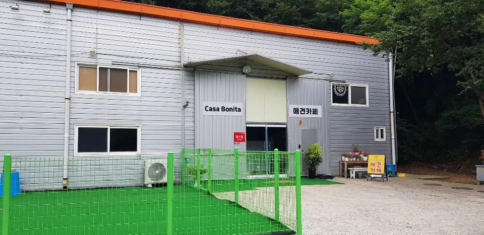 카사보니타 대표 이미지