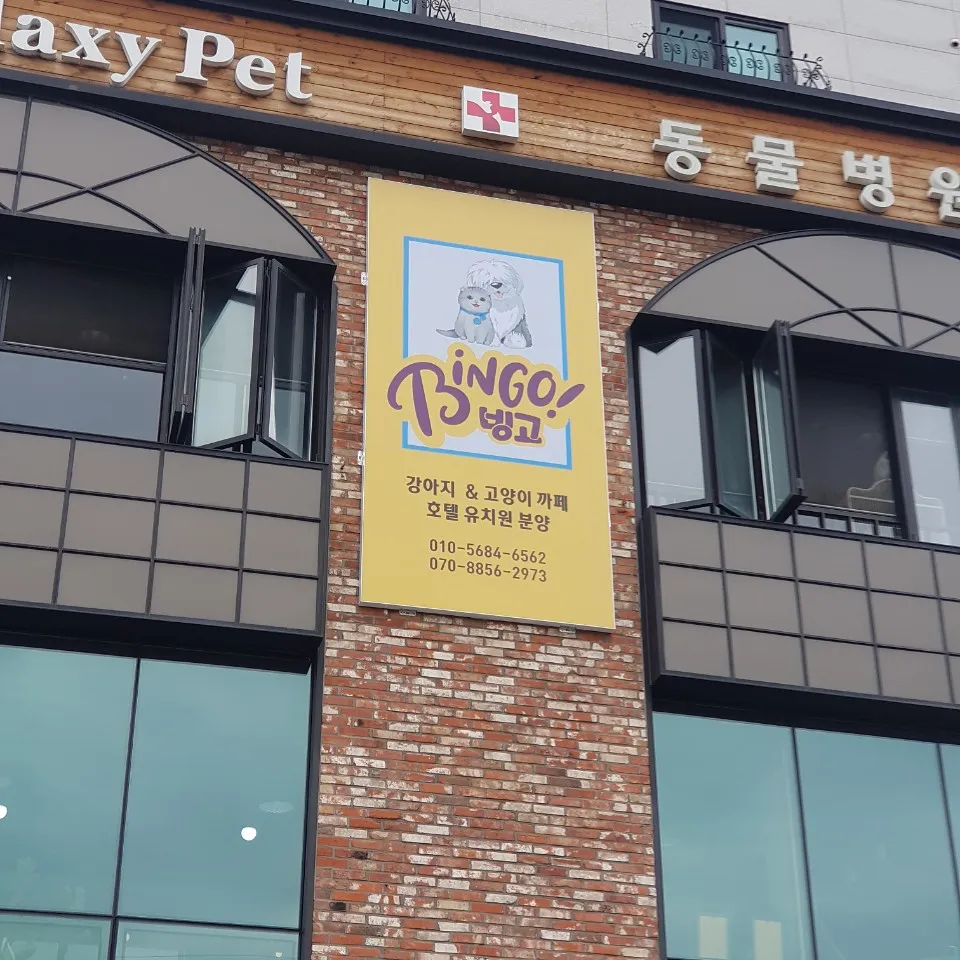 빙고 대표 이미지