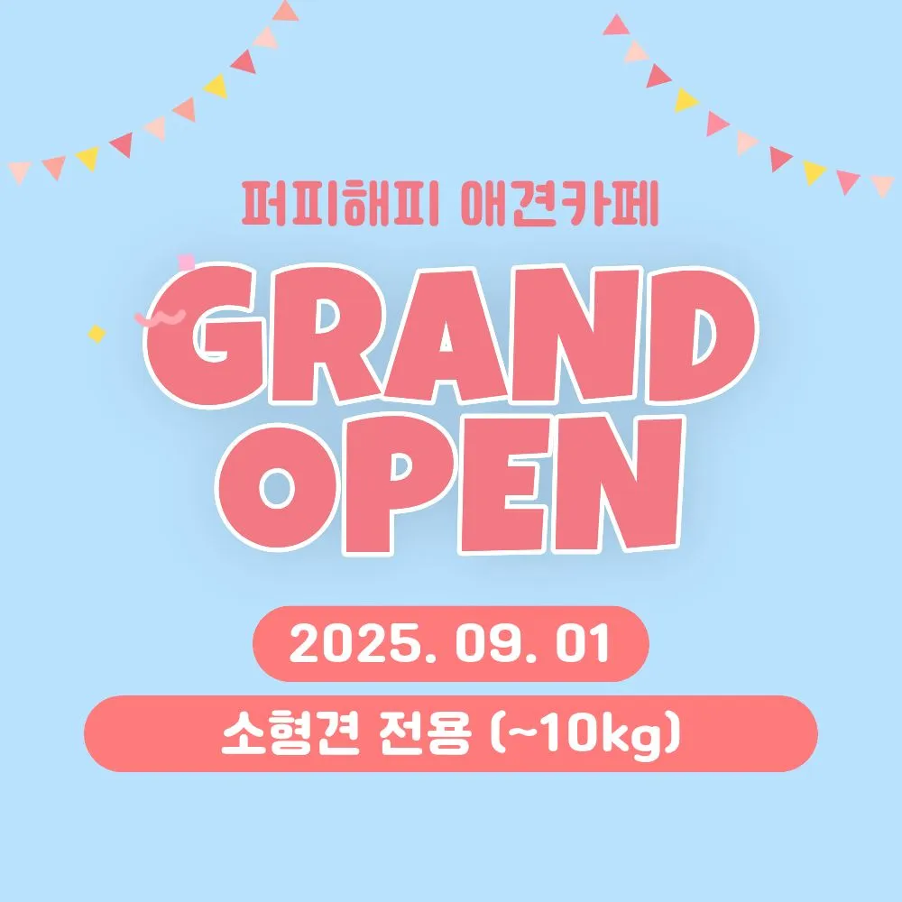 퍼피해피 대표 이미지