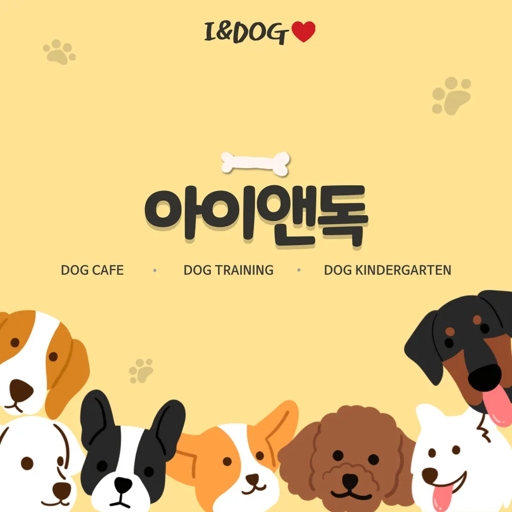 아이앤독 대표 이미지