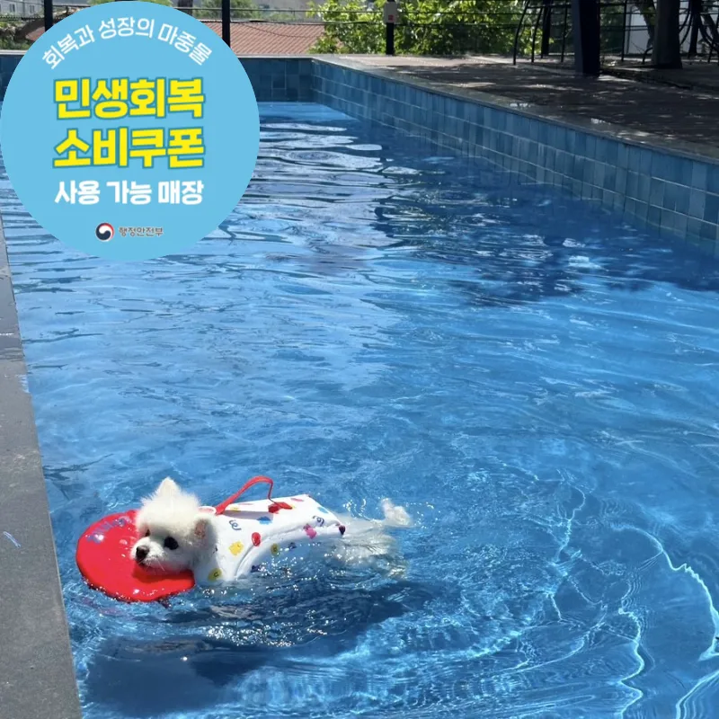 블랙피그시흥애견카페 대표 이미지