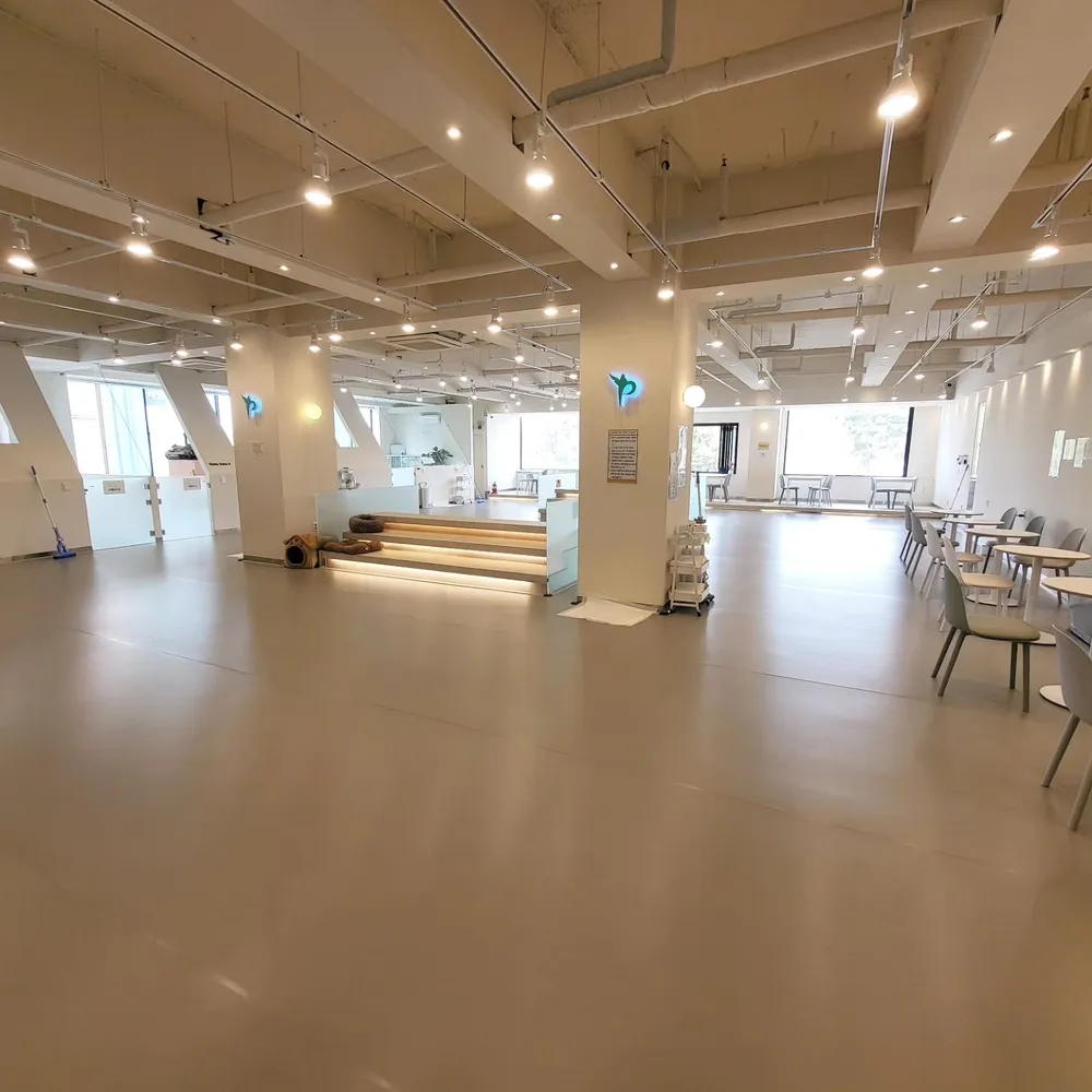 피터펫 안산점 대표 이미지