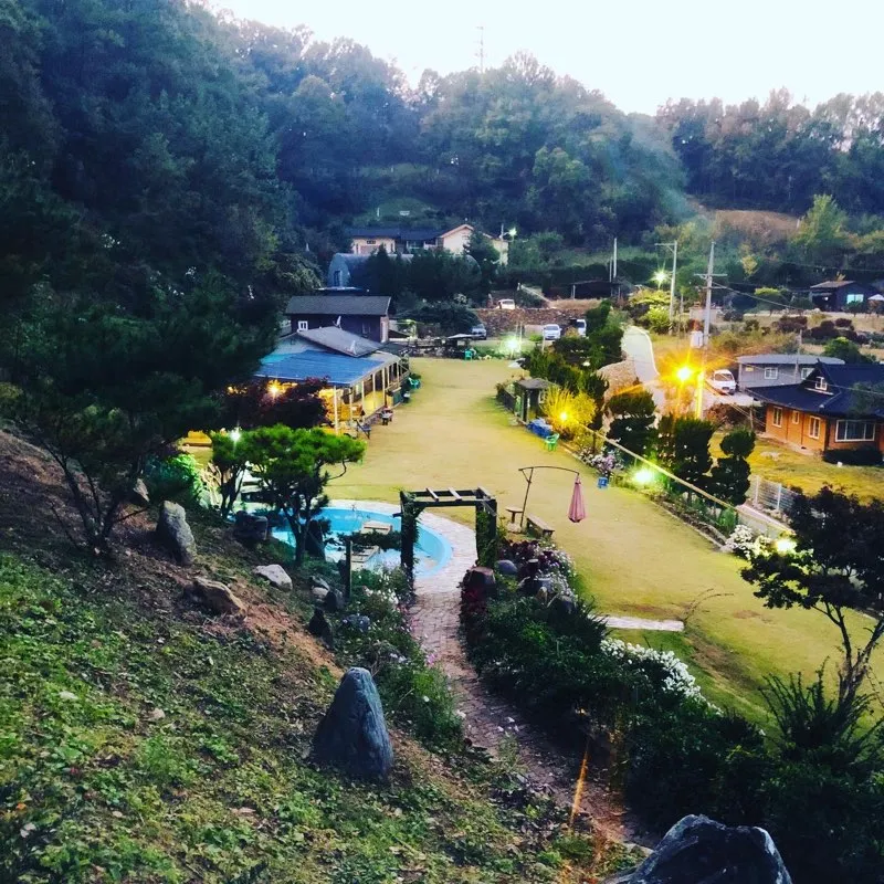 놀개 애견운동장 대표 이미지