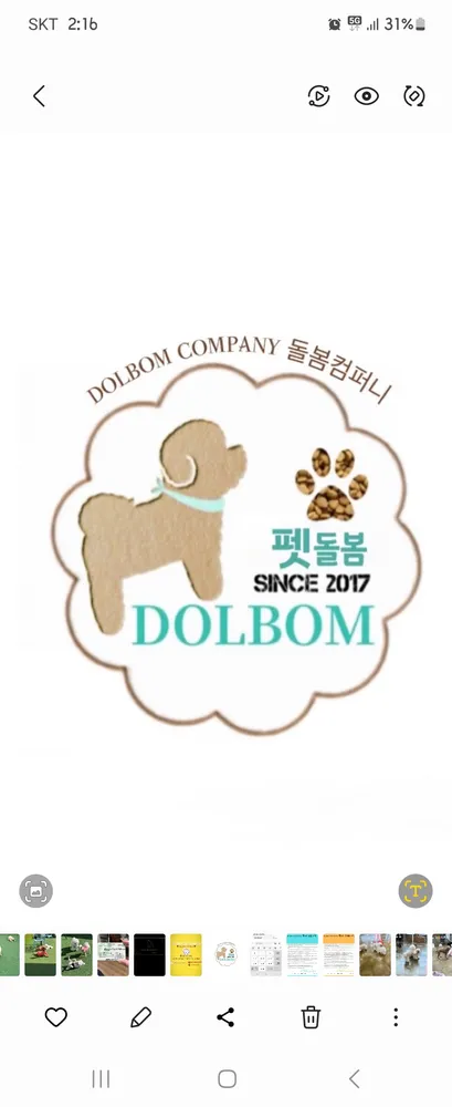 펫돌봄애견카페 대표 이미지