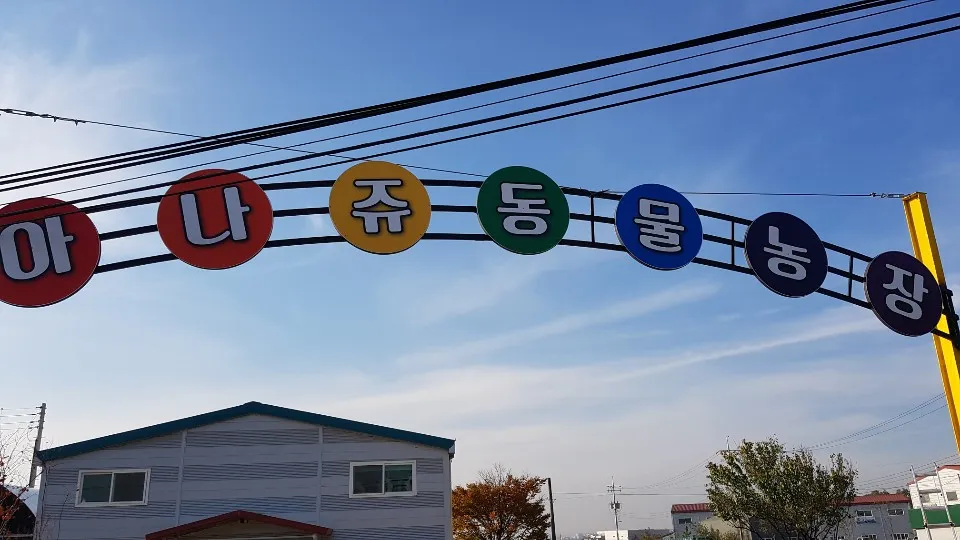 아나쥬 동물농장 대표 이미지