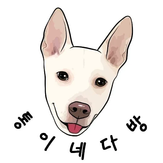 통이네다방 대표 이미지