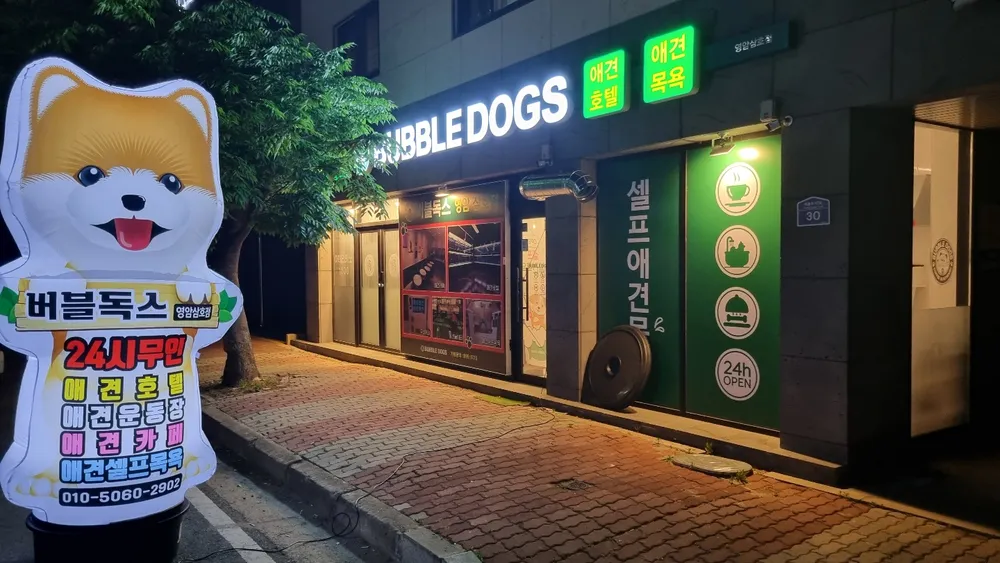 버블독스 영암삼호점 대표 이미지
