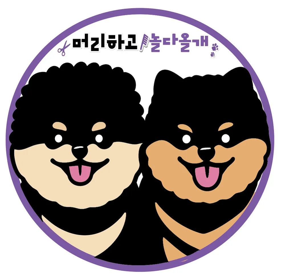 머리하고놀다올개 대표 이미지