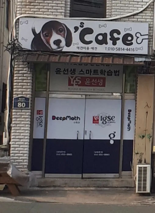 카페 애견미용 대표 이미지
