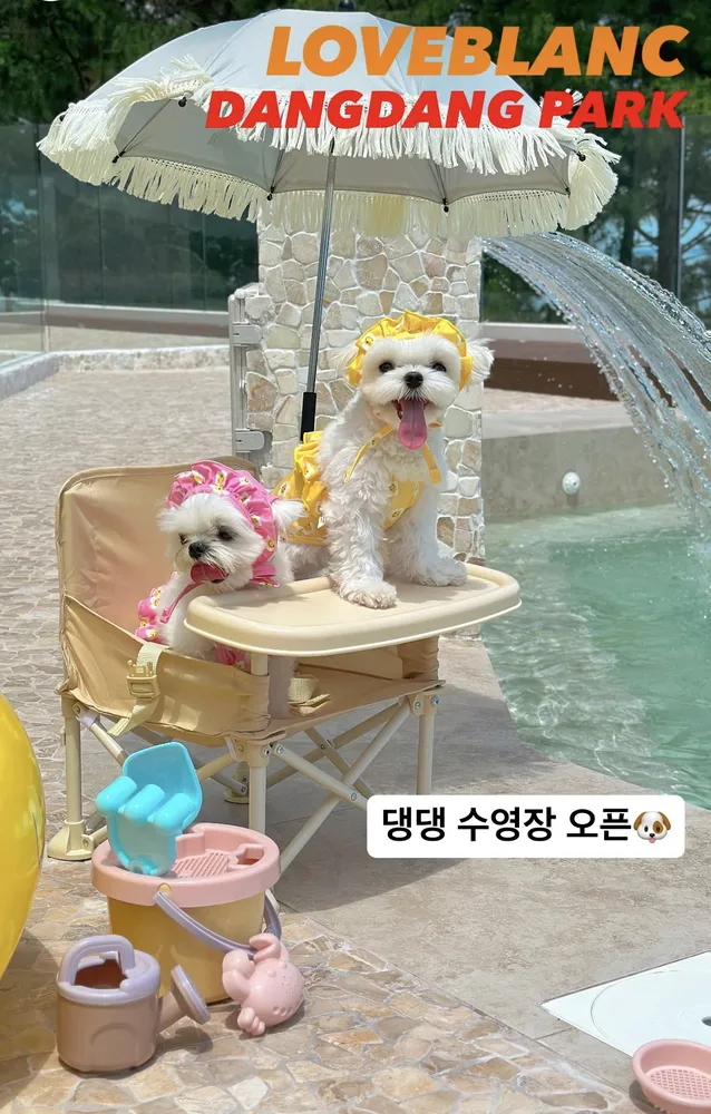 러블랑댕댕파크 대표 이미지