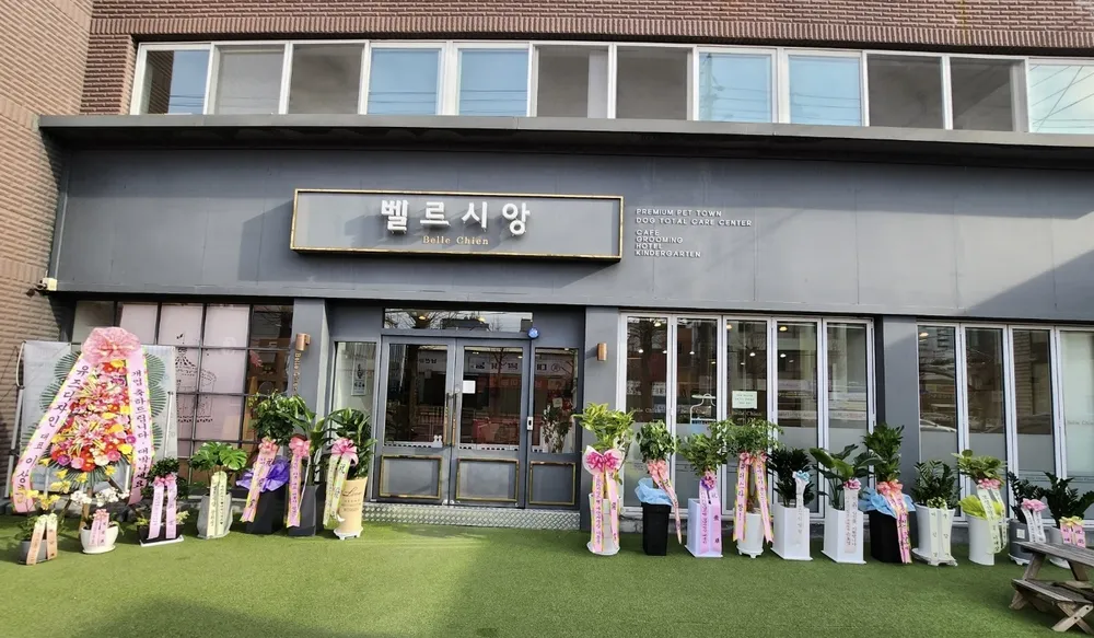 벨르시앙 대표 이미지