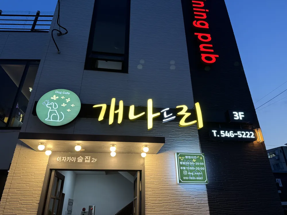 개나드리 대표 이미지
