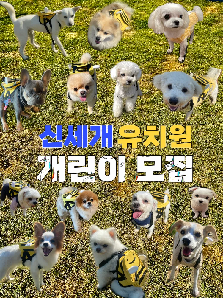 신세개애견카페 대표 이미지