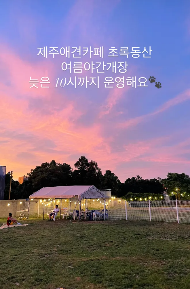 제주애견카페 초록동산 대표 이미지