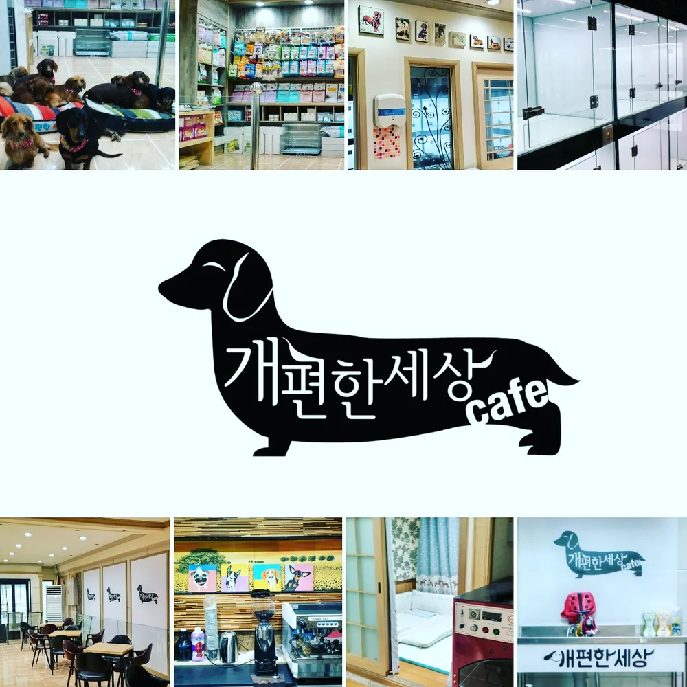 개편한세상 대표 이미지