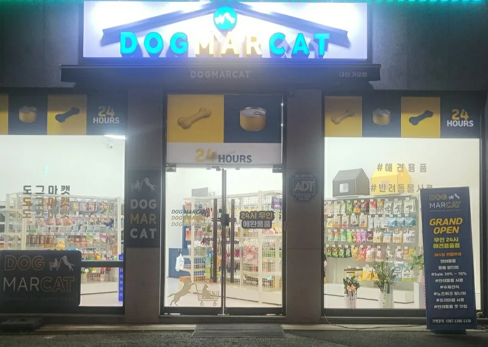 도그마캣 대표 이미지