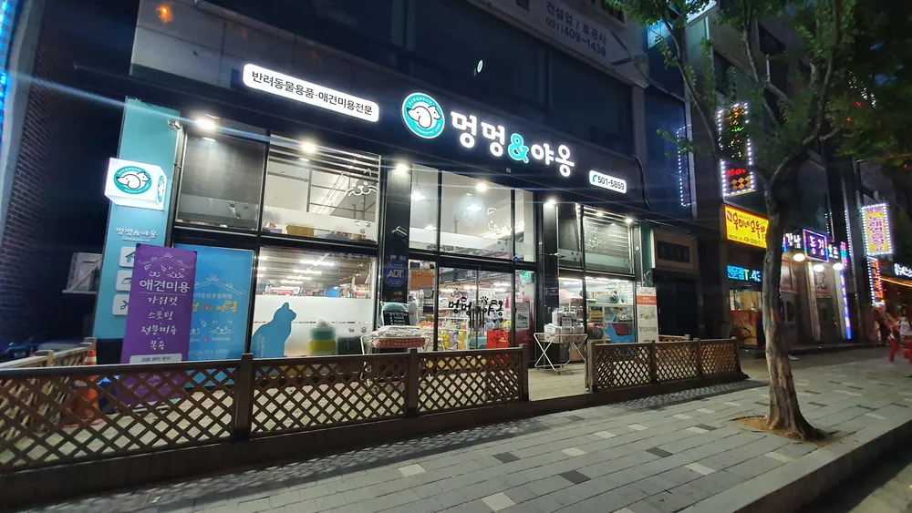 멍멍&야옹 대표 이미지
