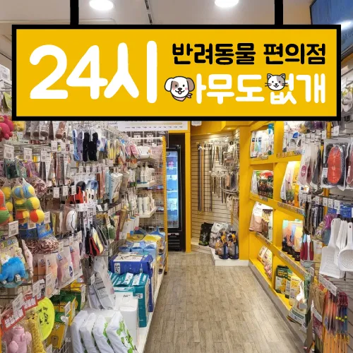 아무도없개 속초점 대표 이미지