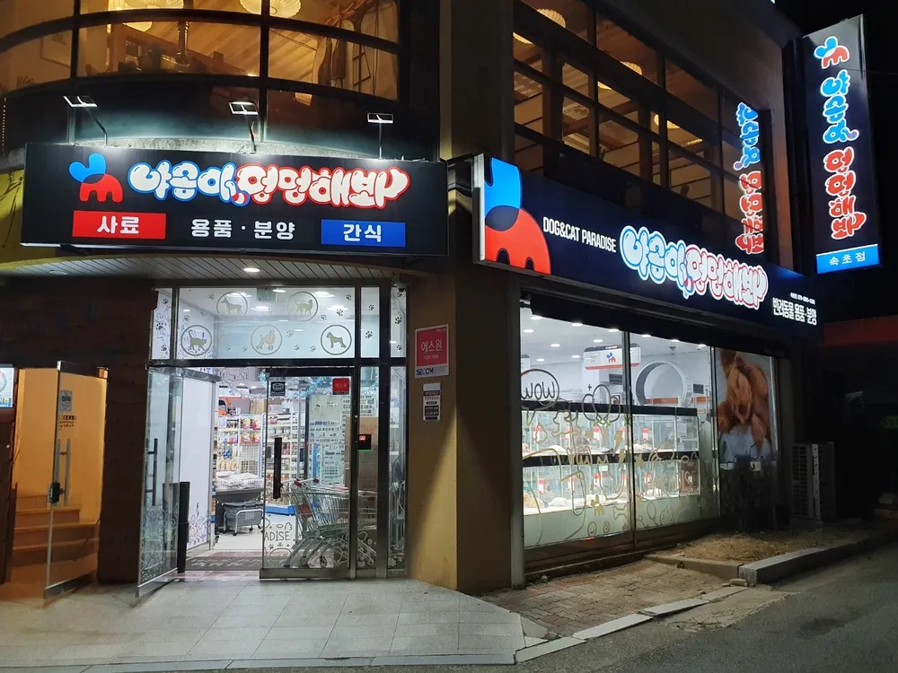 야옹아멍멍해봐 속초점 대표 이미지