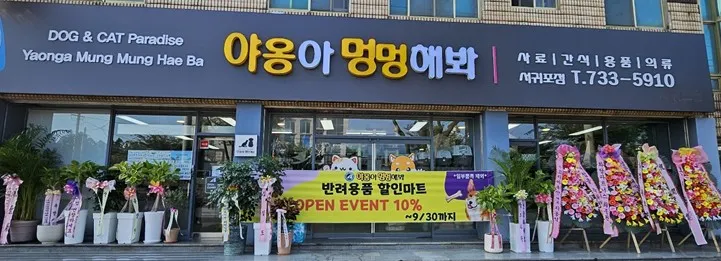 야옹아 멍멍해봐(서귀포점) 대표 이미지