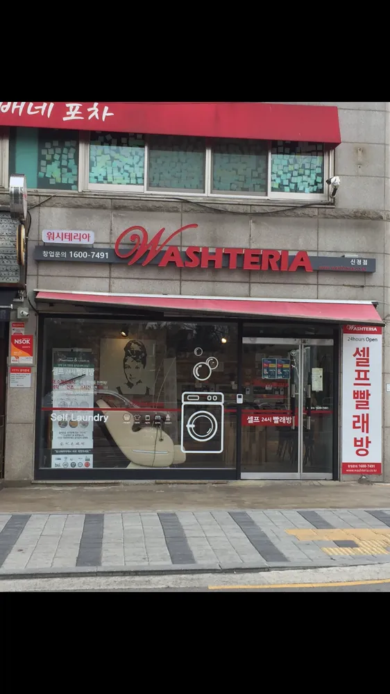 워시테리아 대표 이미지