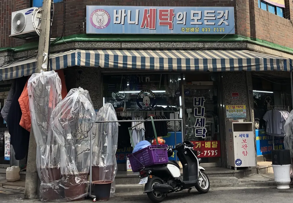 바니세탁 대표 이미지