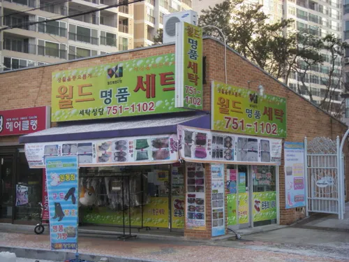 월드명품세탁 대표 이미지