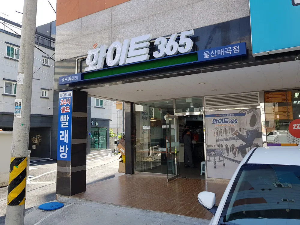 화이트365 울산매곡점 대표 이미지