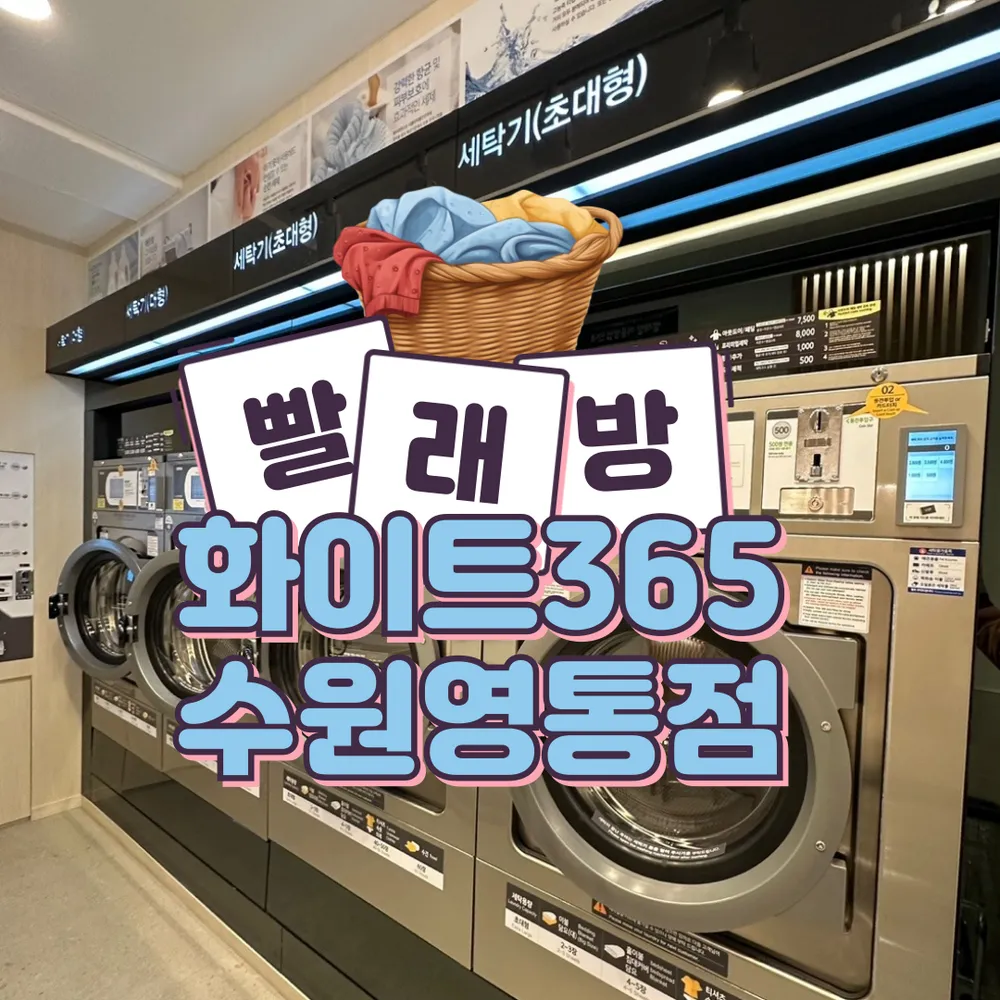 내 주변 세탁소 - 가까운 업체 찾기 - 지역정보