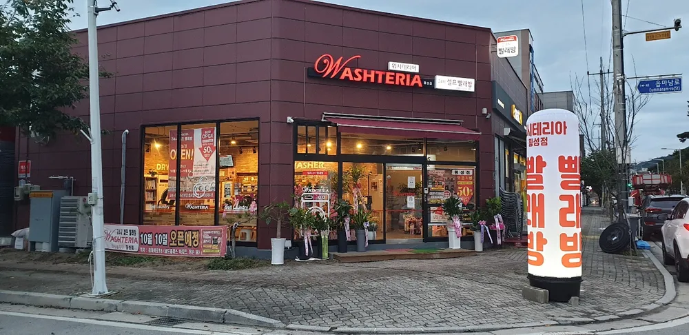 워시테리아 대표 이미지