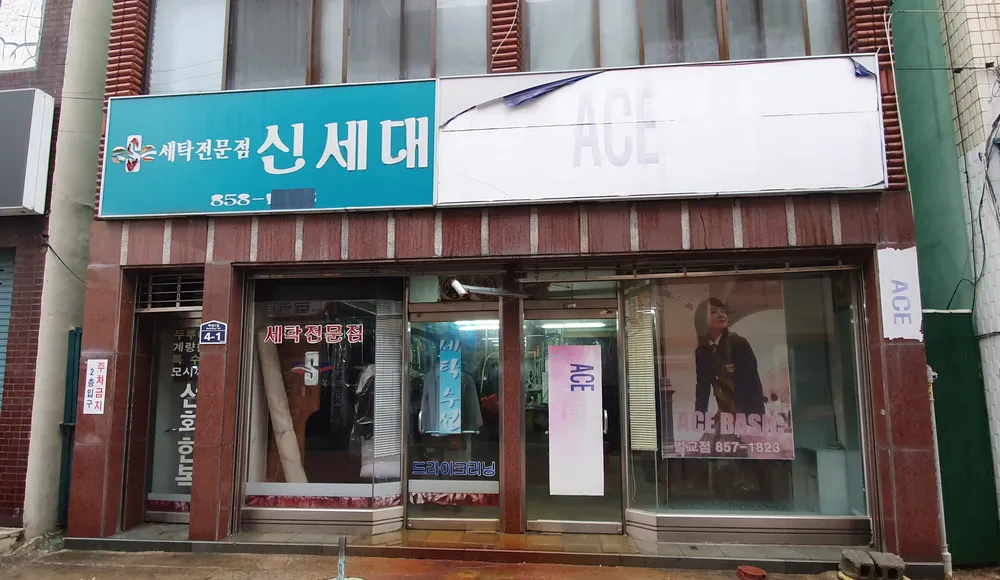 신세대 대표 이미지