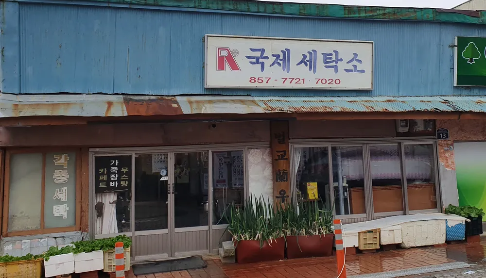 국제세탁소 대표 이미지