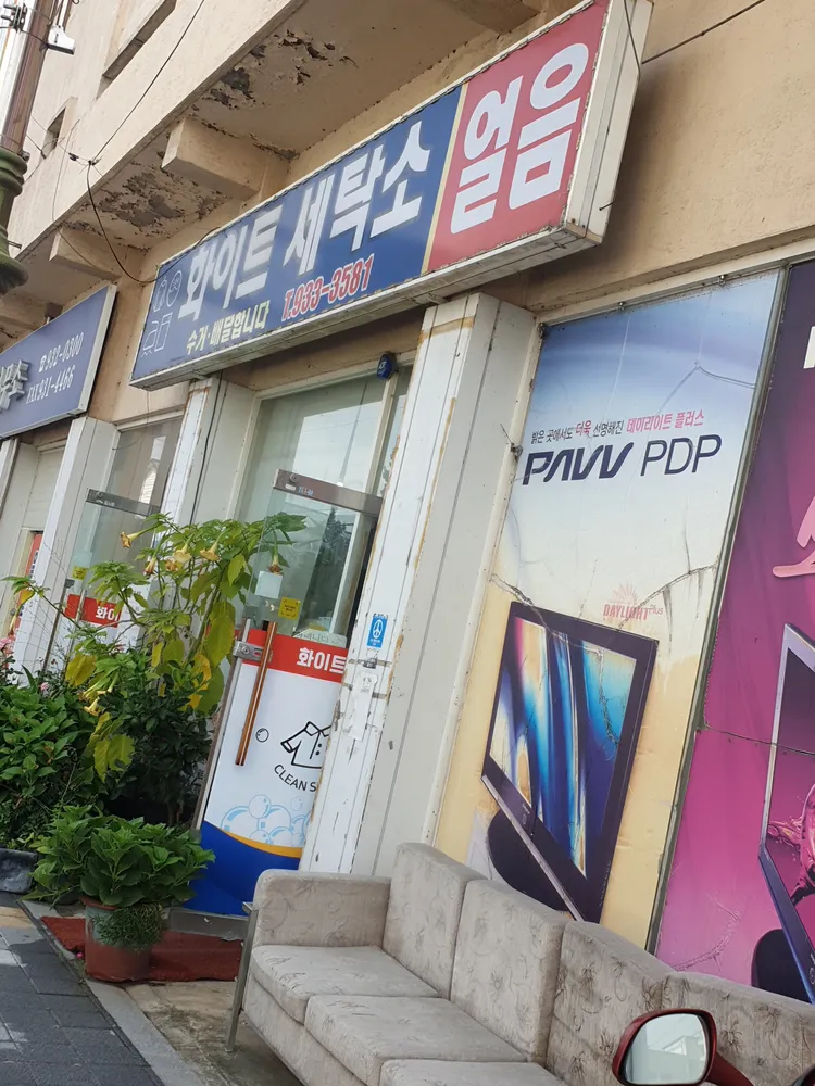 화이트세탁 대표 이미지