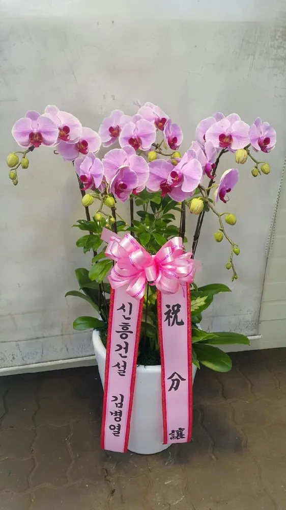 오라화원 대표 이미지