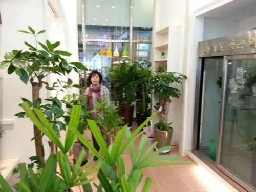 마리스플라워 대표 이미지