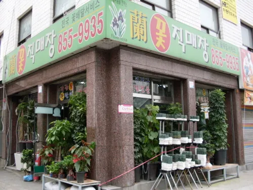 란꽃직매장 대표 이미지