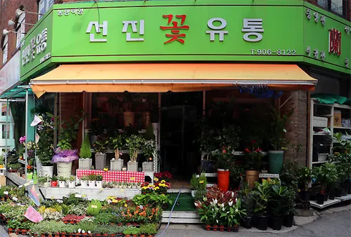 선진화훼유통 대표 이미지