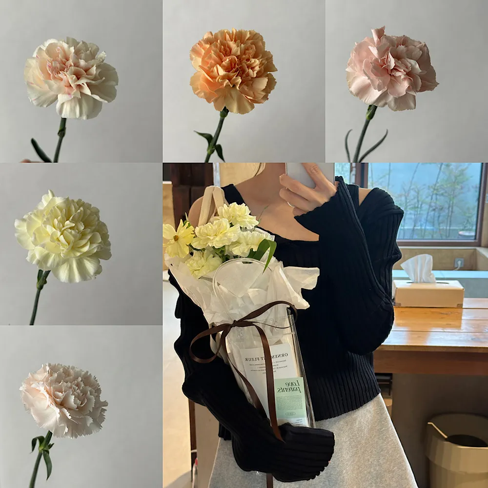 오르네먼트 대표 이미지
