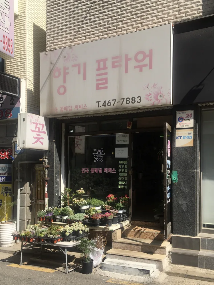 향기플라워 대표 이미지