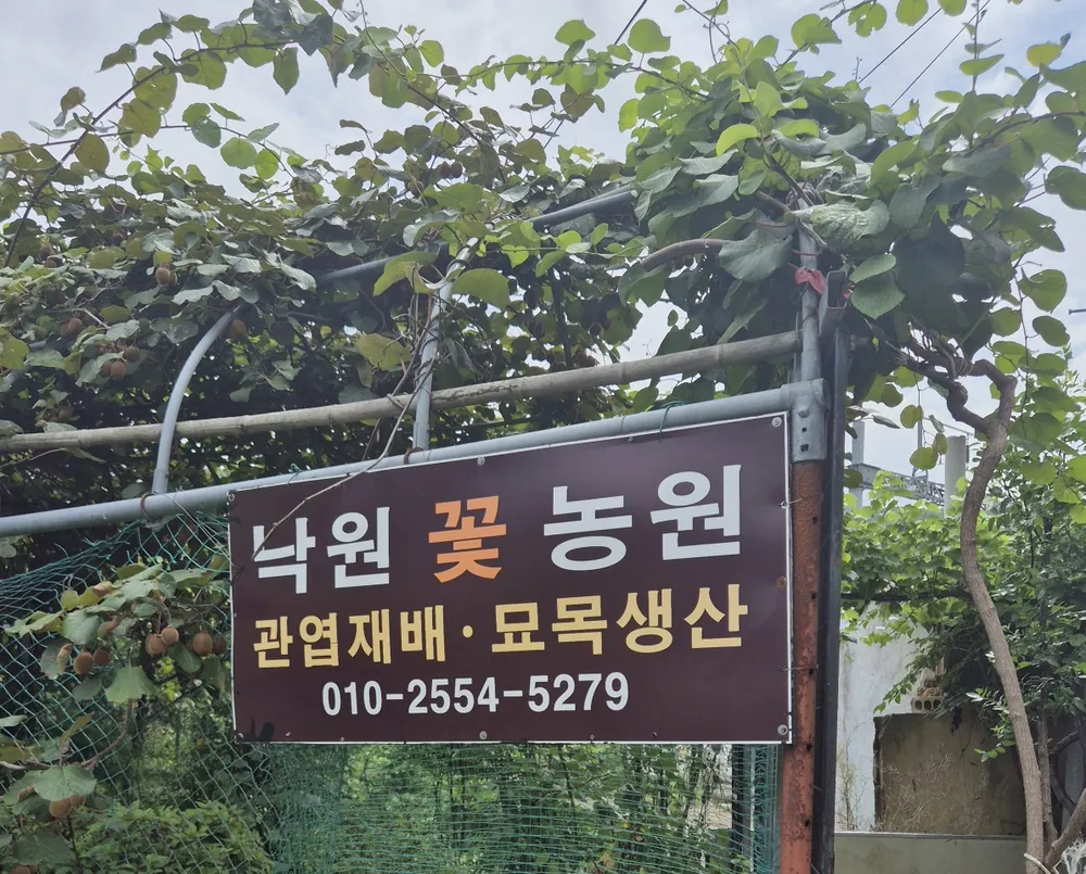 낙원꽃농원 대표 이미지