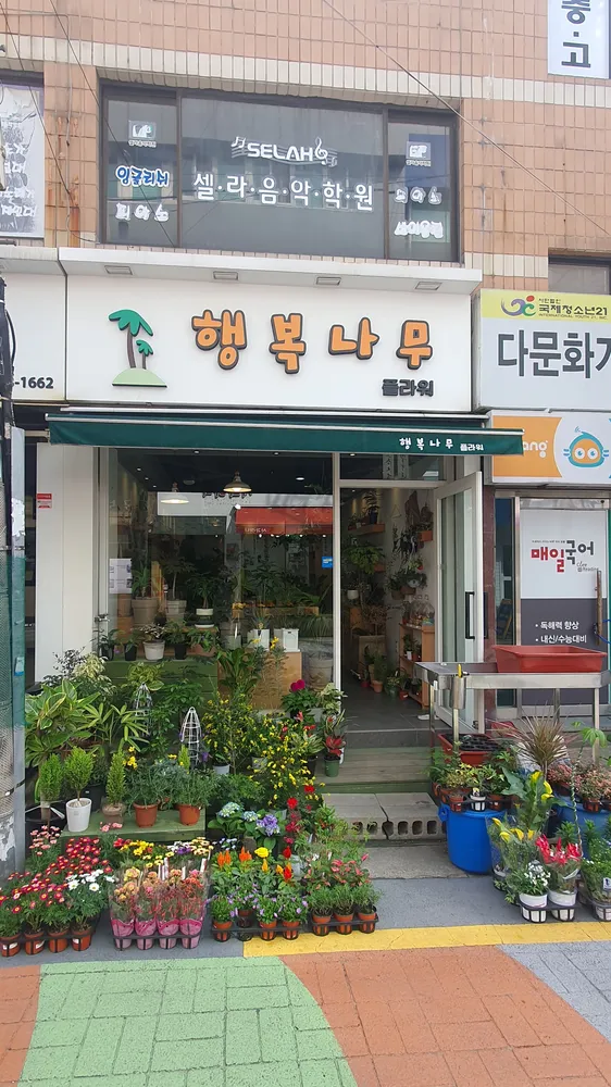 행복나무플라워 대표 이미지