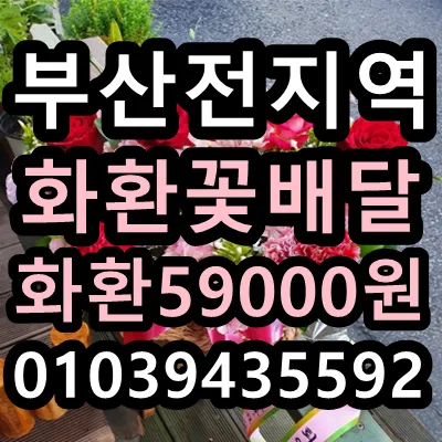 부산화환배달 대표 이미지